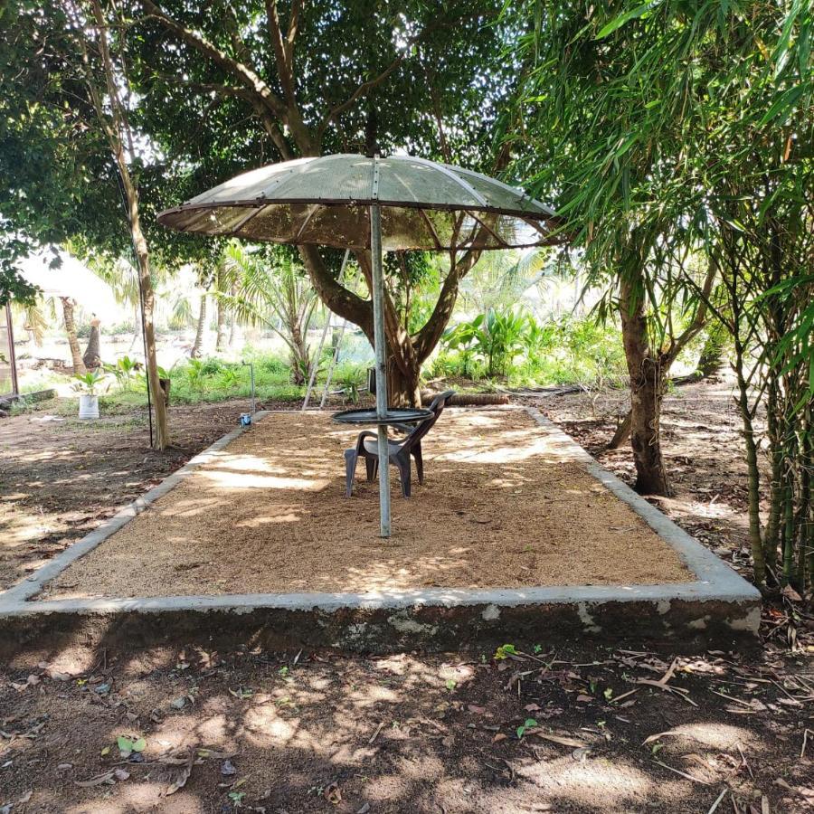 Munroe Inn Homestay كولاّم المظهر الخارجي الصورة