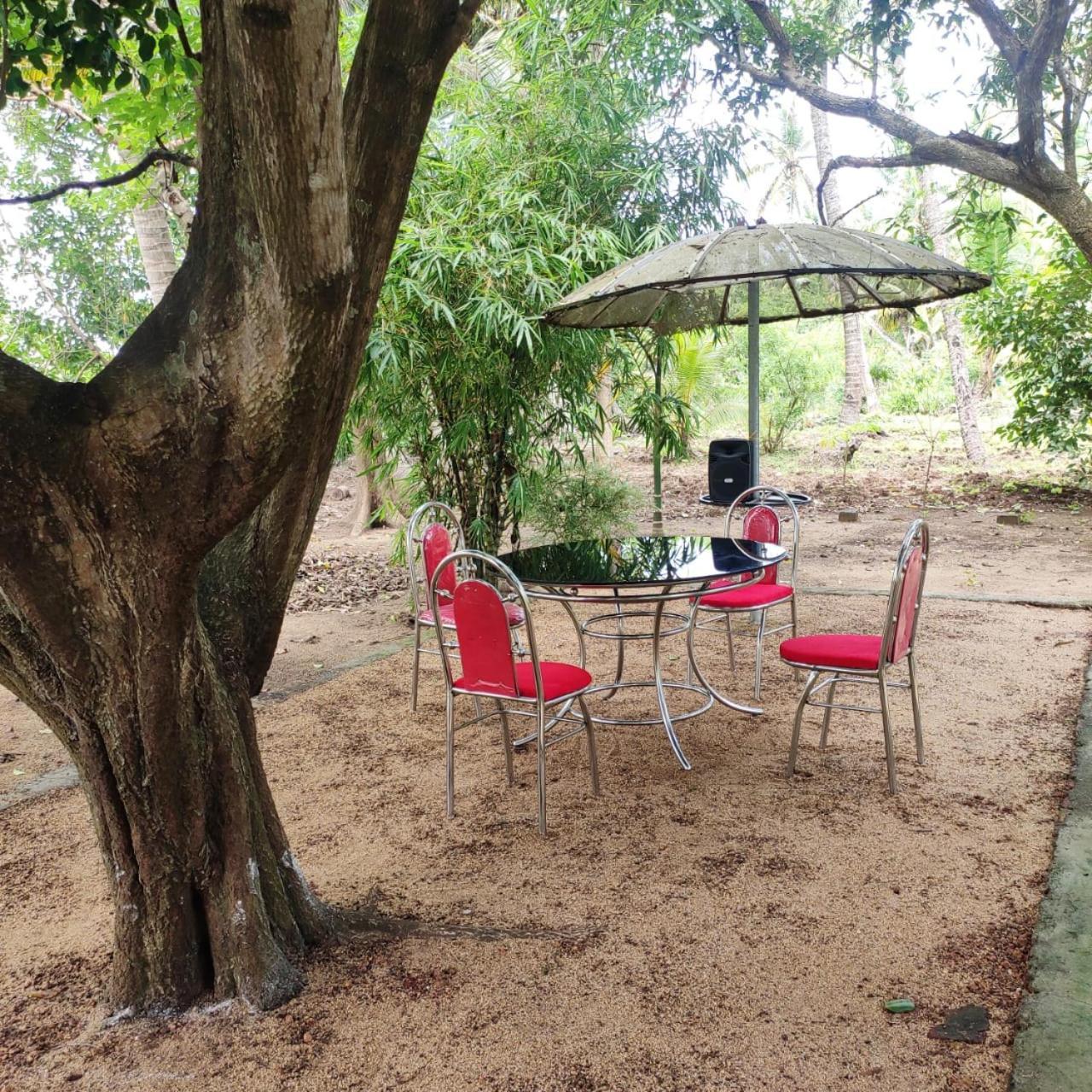 Munroe Inn Homestay كولاّم المظهر الخارجي الصورة